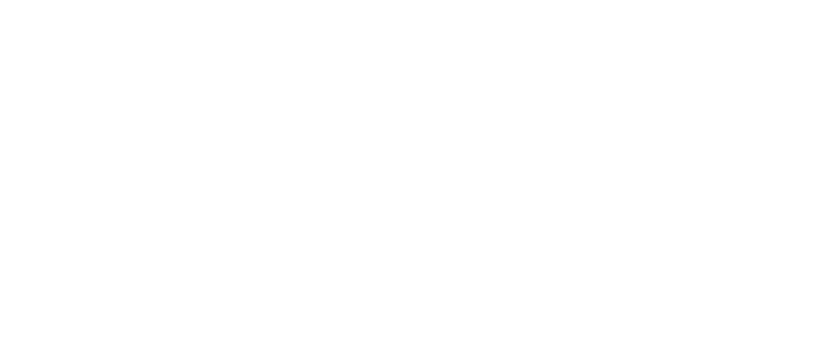 Schwungus Software logo